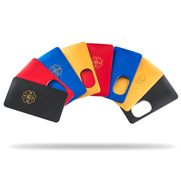 Dotmod dotSquonk Door Set